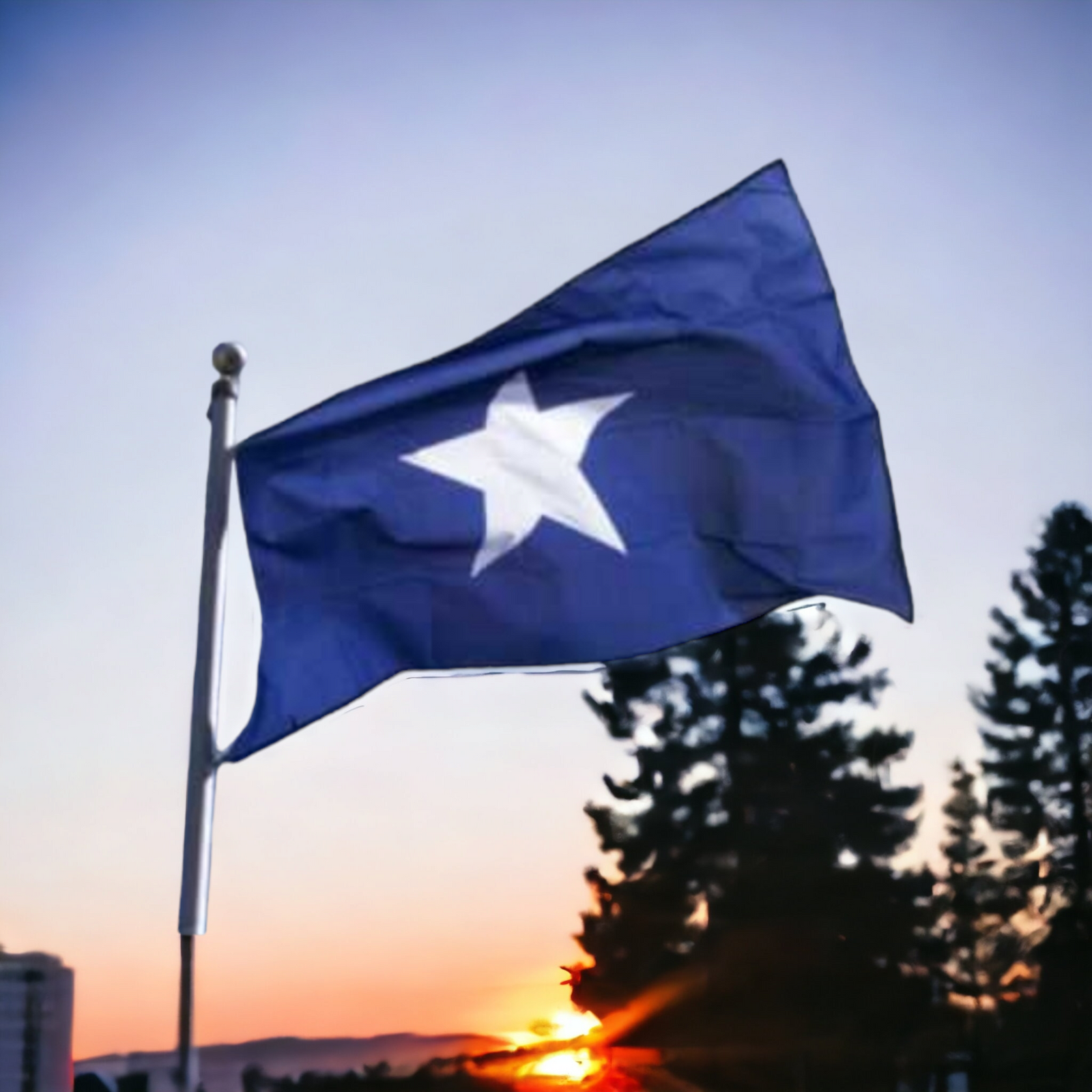 Bonnie Blue Premium Sewn Cotton Indoor Flag