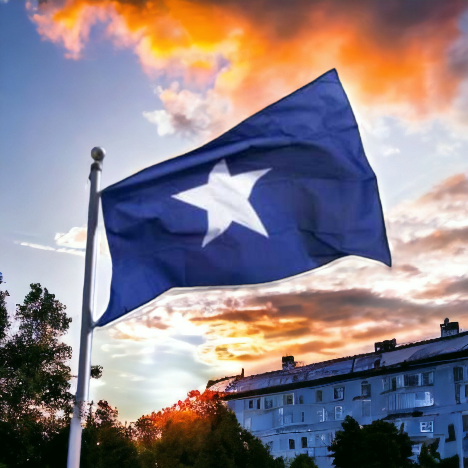 Bonnie blue online flag shirt