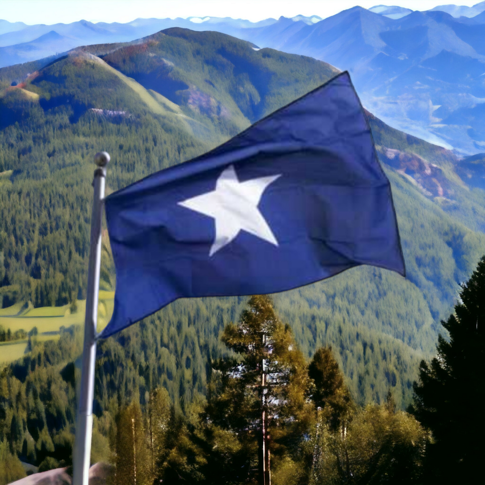 Bonnie Blue Premium Sewn Cotton Indoor Flag