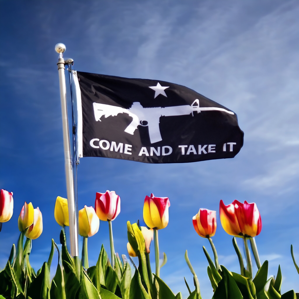 Come and Take It Flag - Black