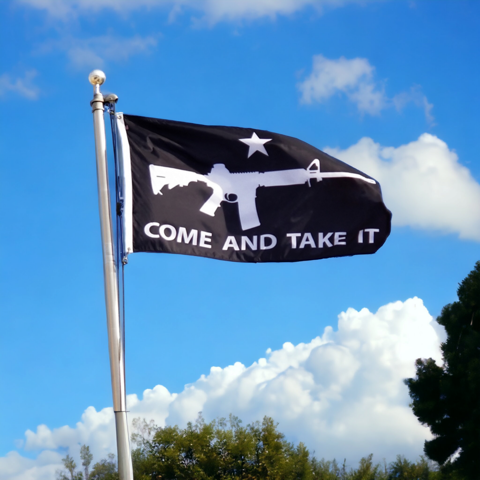 Come and Take It Flag - Black