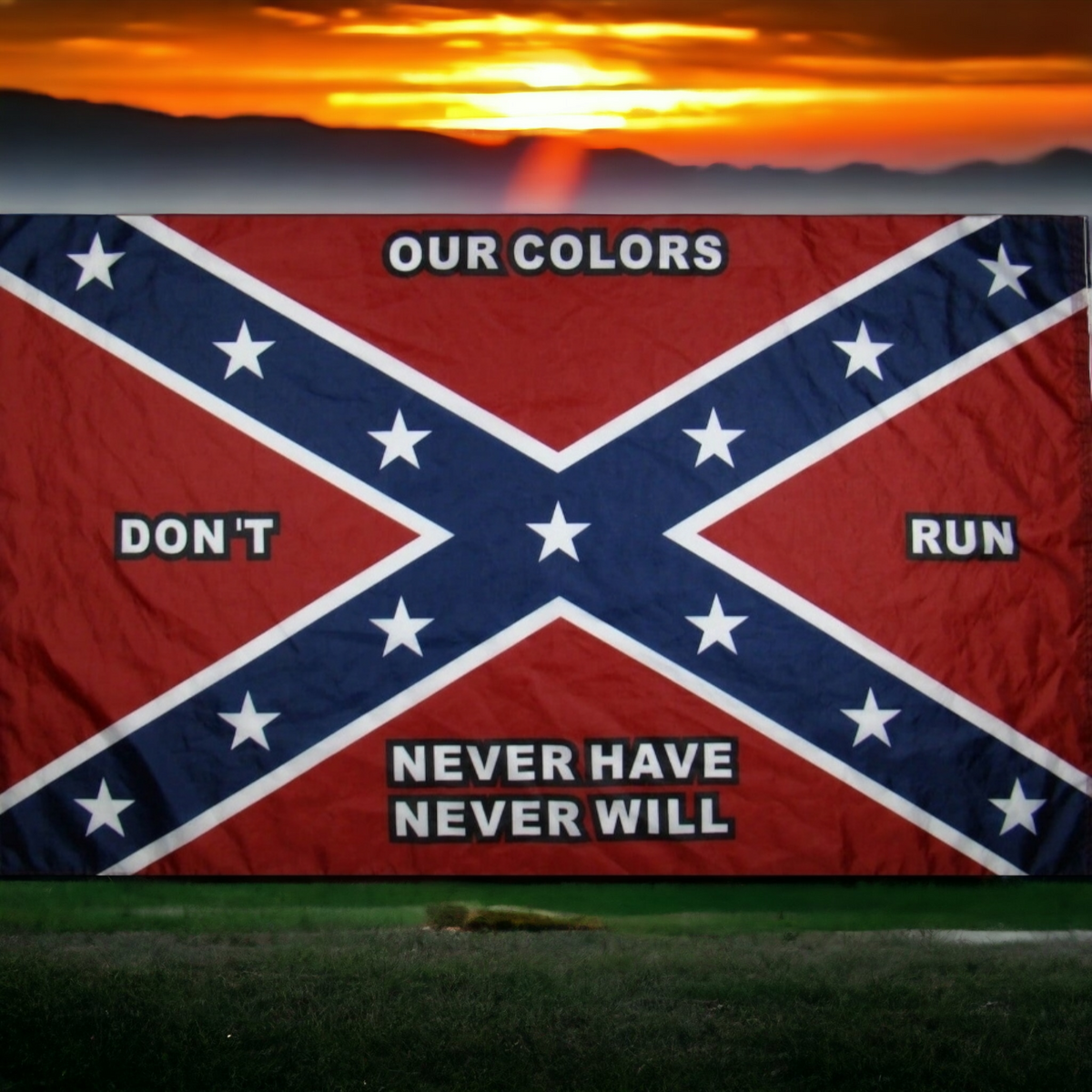 Our Colors Don't Run Flag