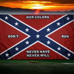 Our Colors Didn't Run Flag
