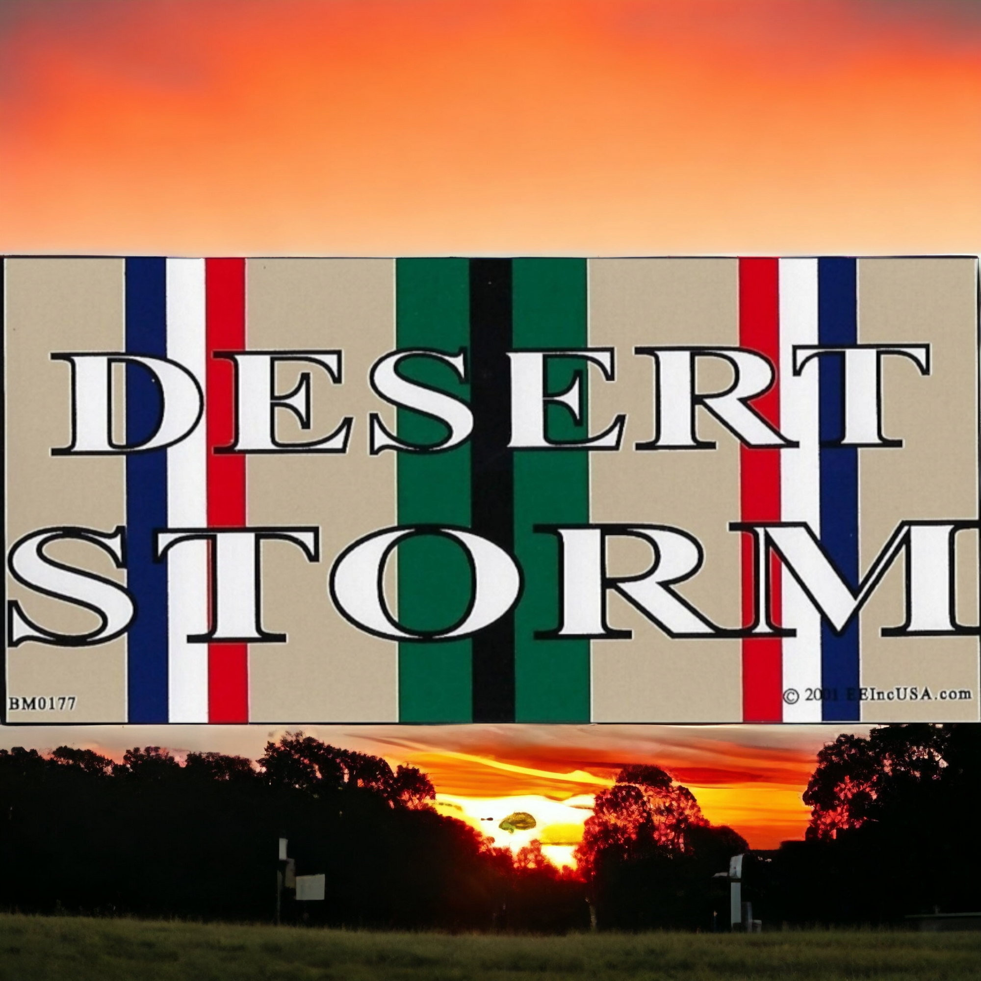 Desert Storm Sticker