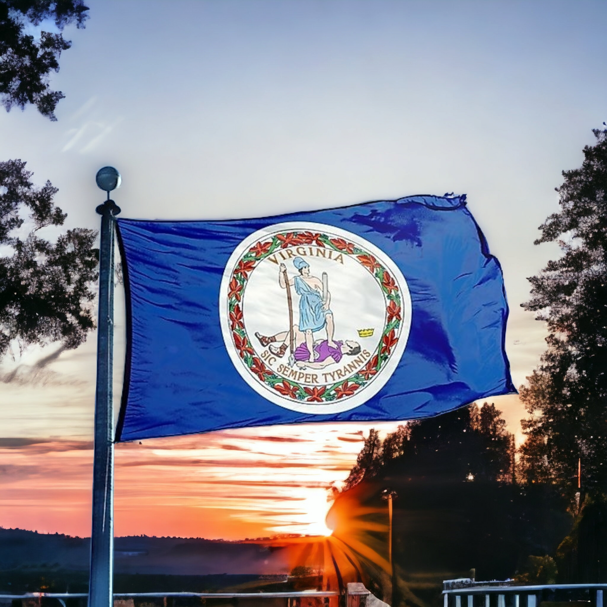 State of Virginia Flag