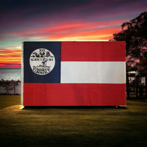 Tennessee CSA 1861 State Flag