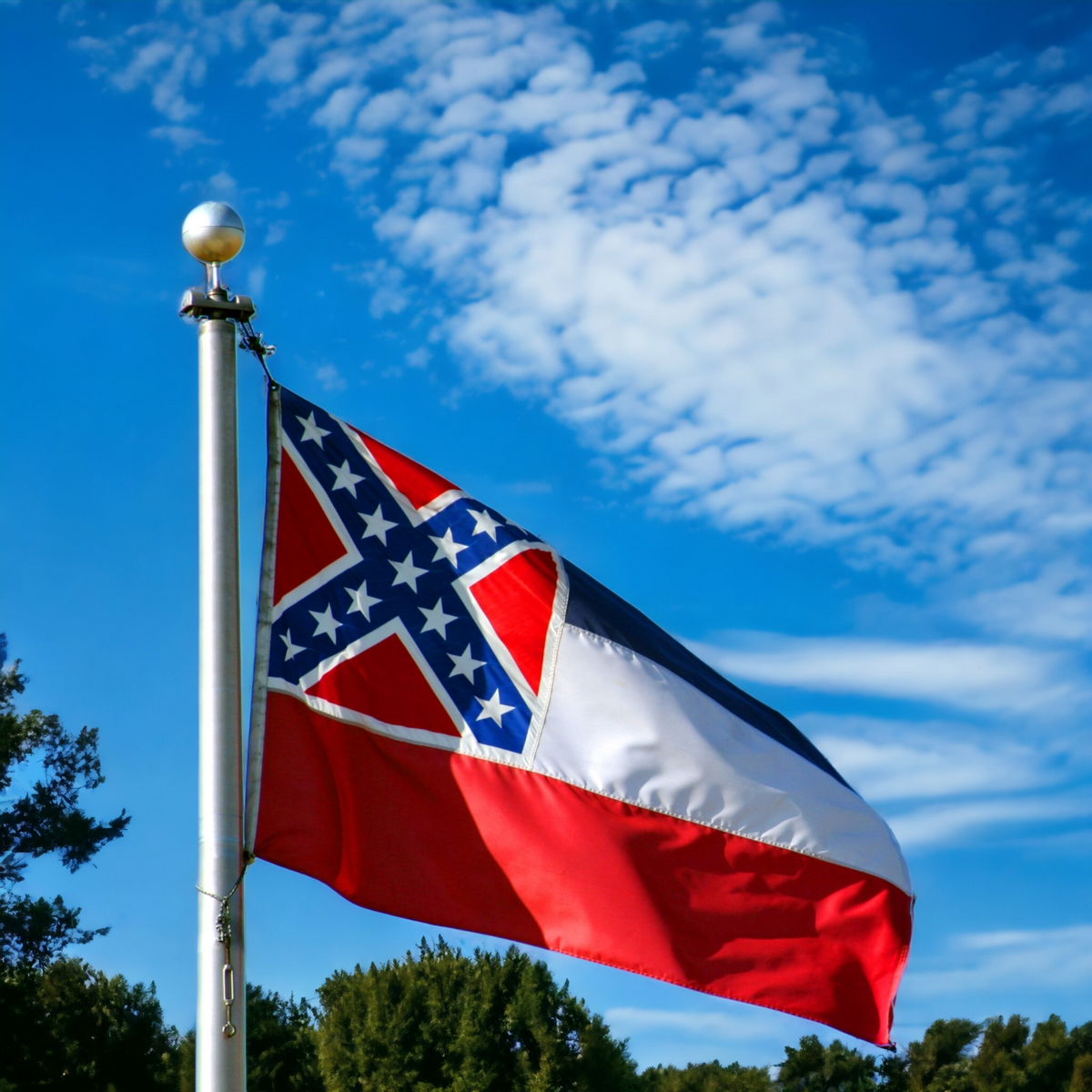 State of Mississippi Flag