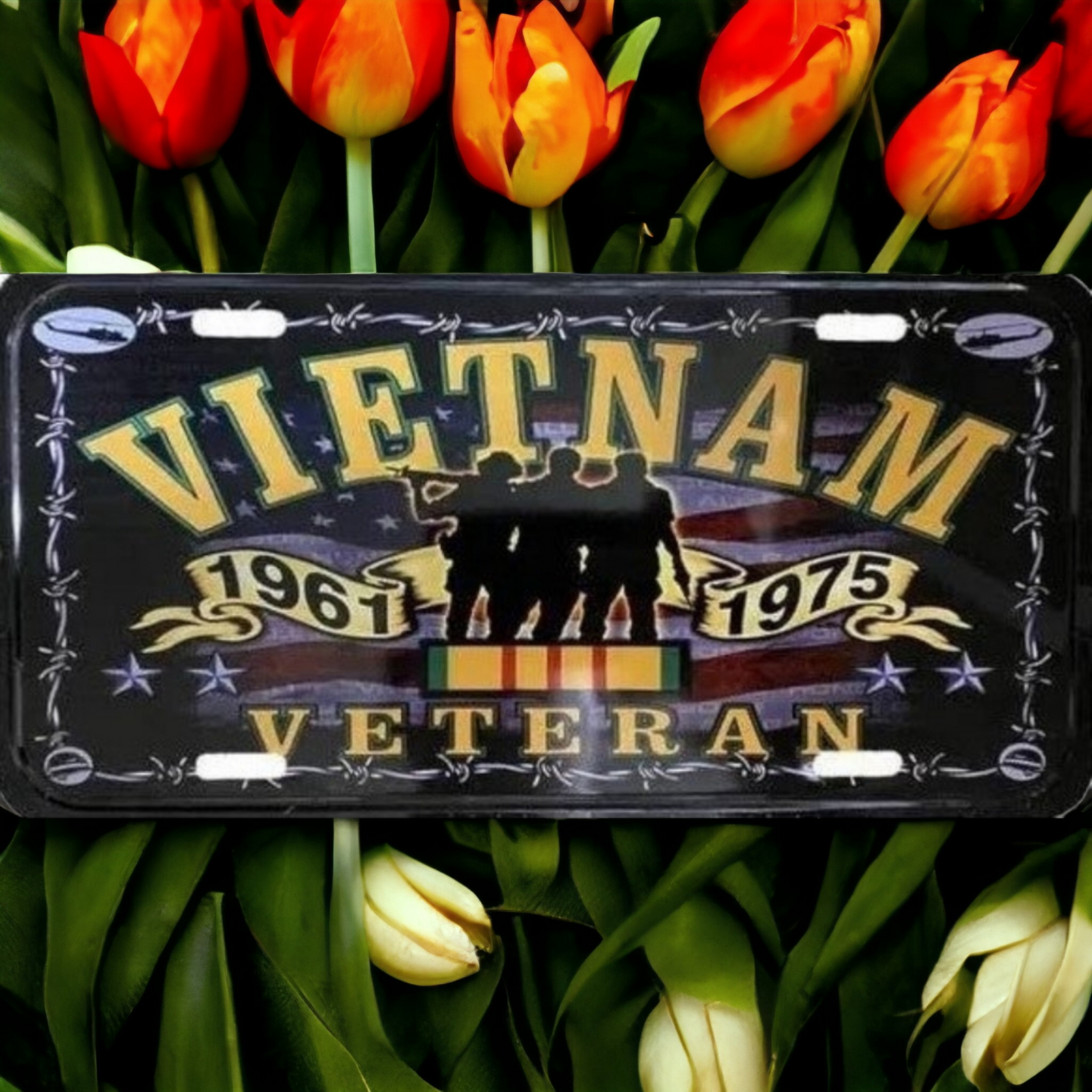 Vietnam Veteran Car Tag