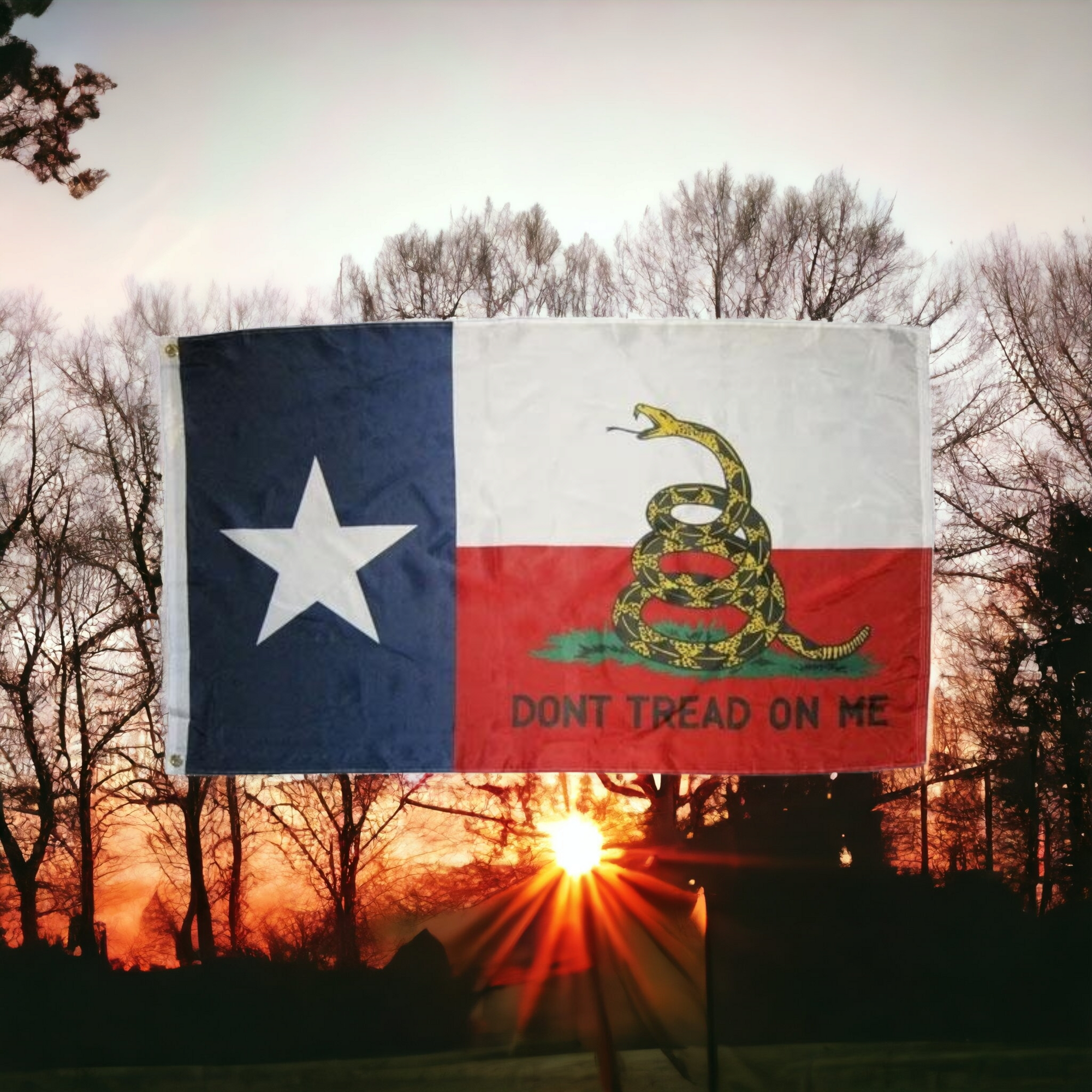 Gadsden Texas Combo Flag