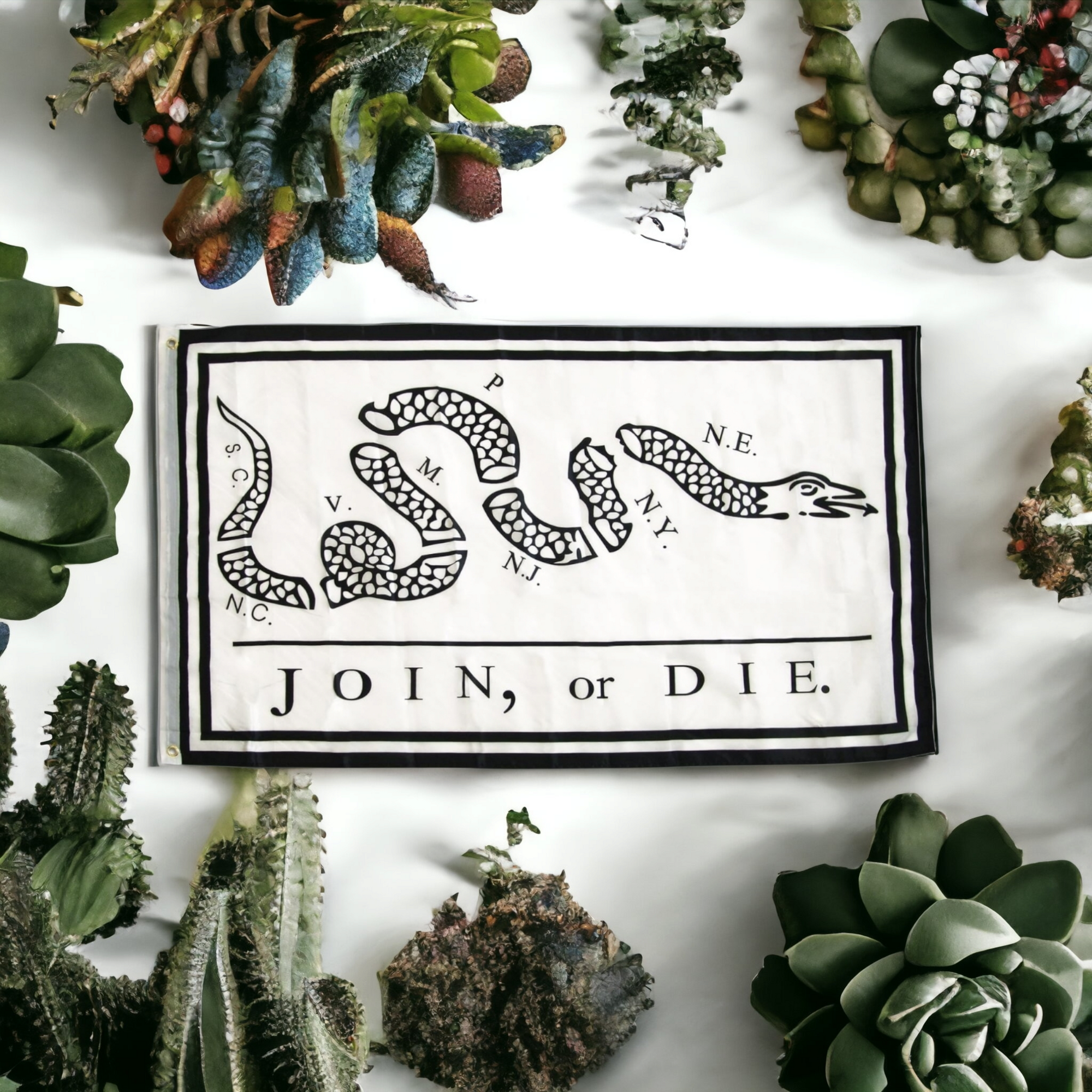 Join Or Die Flag (White)