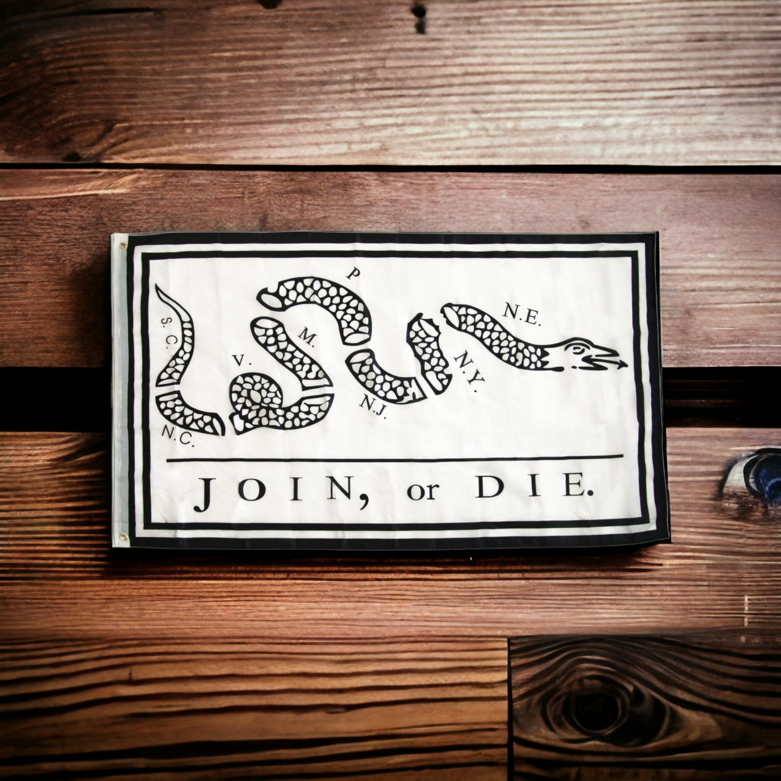 Join Or Die Flag (White)