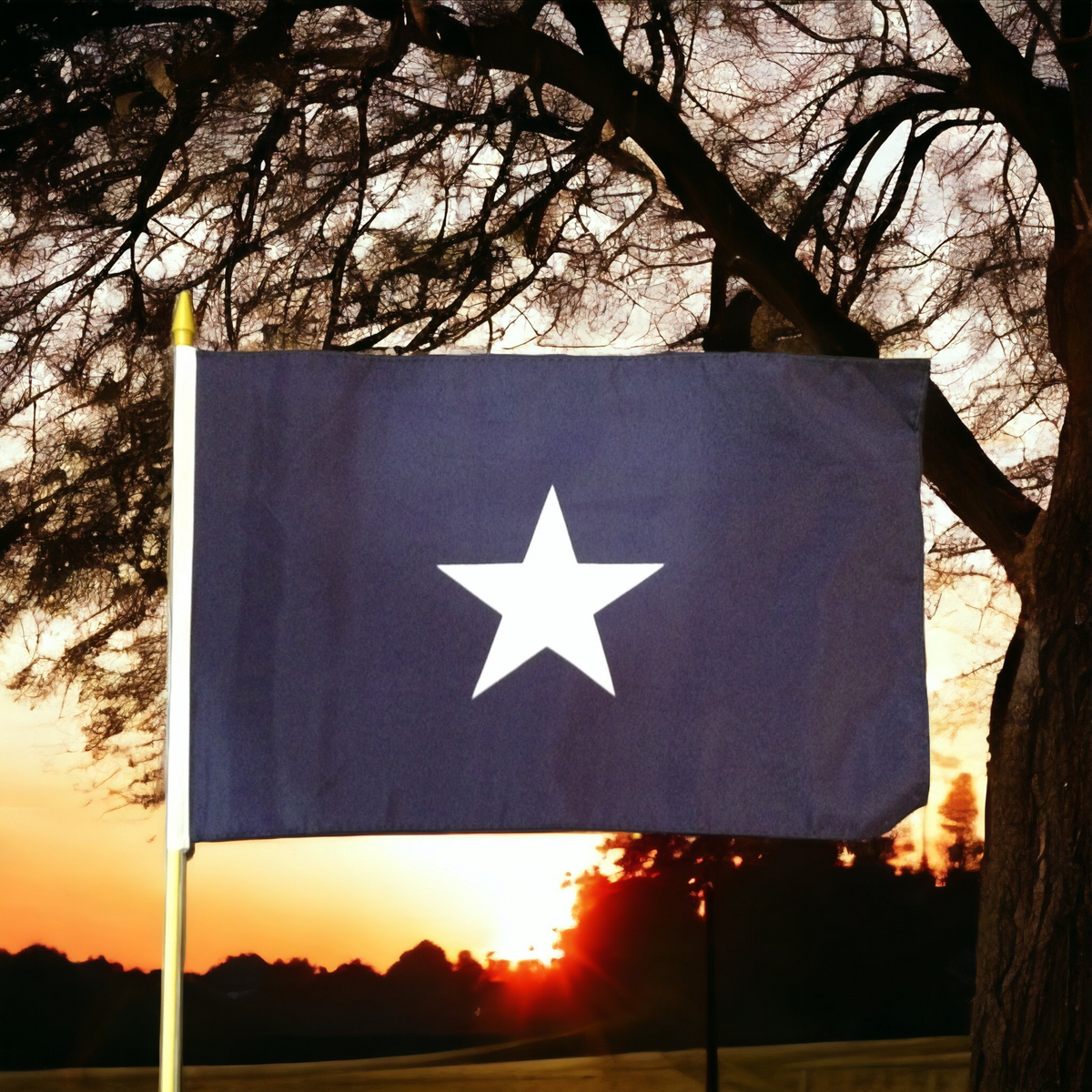 Bonnie Blue Gravesite Stick Flag