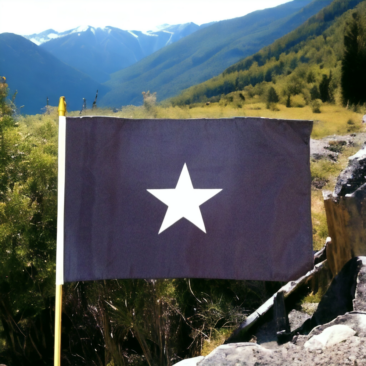 Bonnie Blue Gravesite Stick Flag