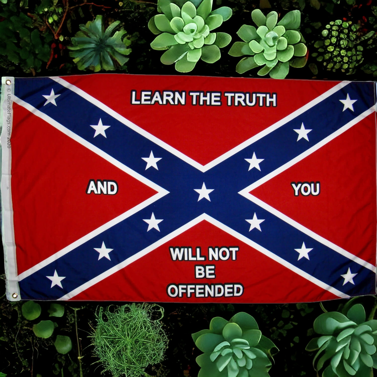 Learn The Truth Flag