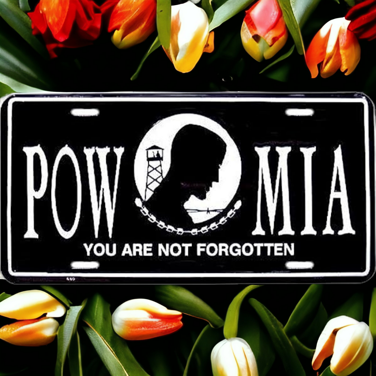 POW / MIA Military Car Tag