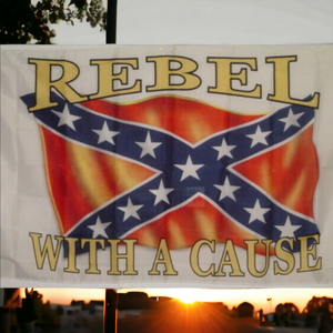 Rebel With A Cause Flag