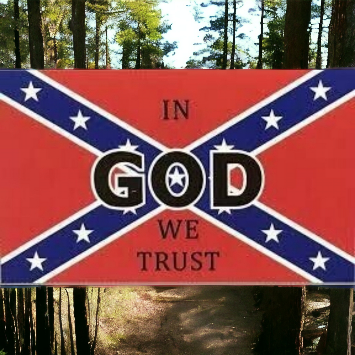 In God We Trust Battle Flag