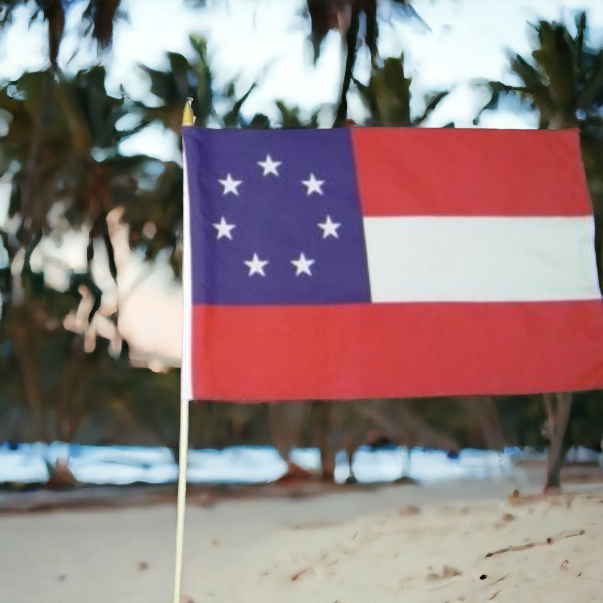 1st National Gravesite Stick Flag