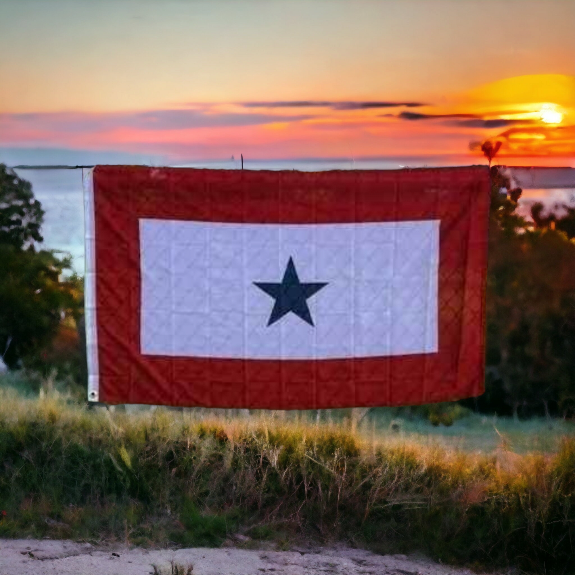 Blue Star Family Flag (Official)